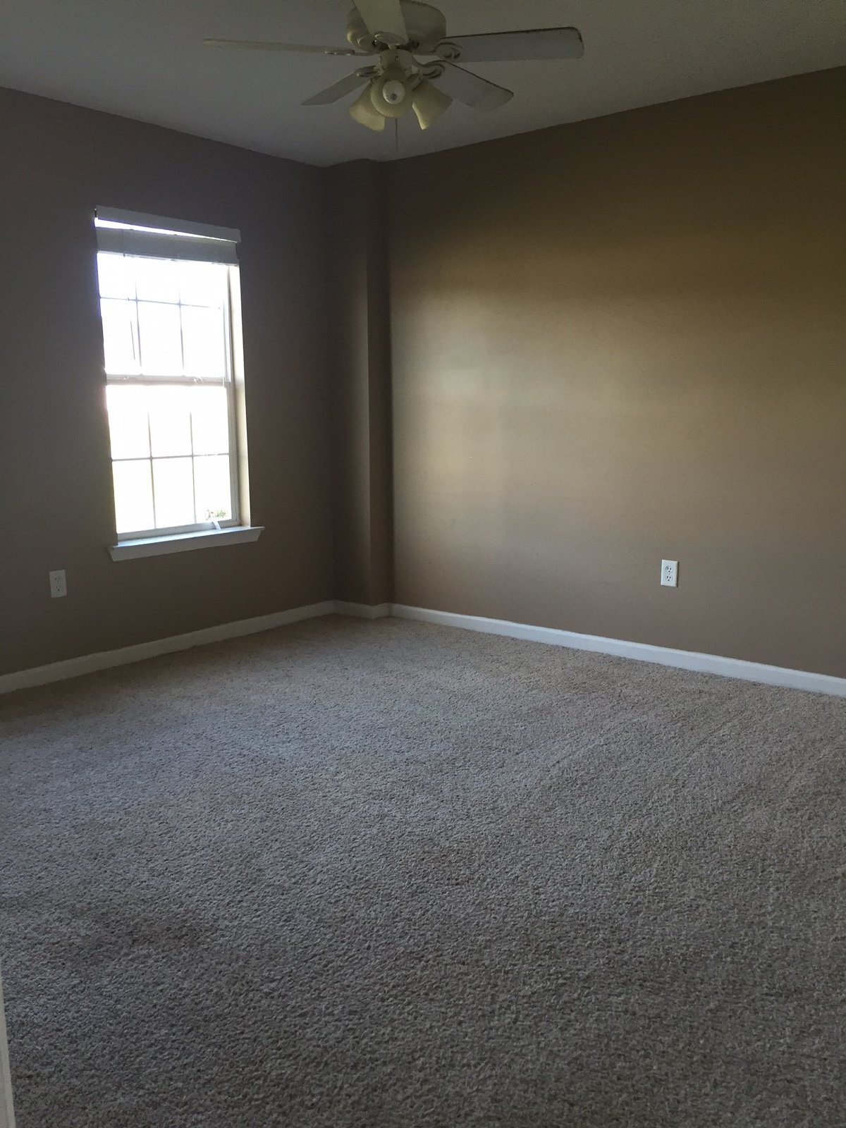 129 Thompkin Dr property image