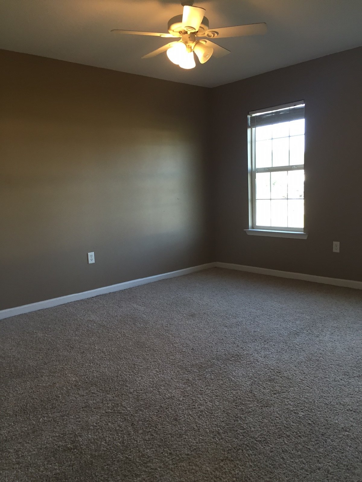 129 Thompkin Dr property image