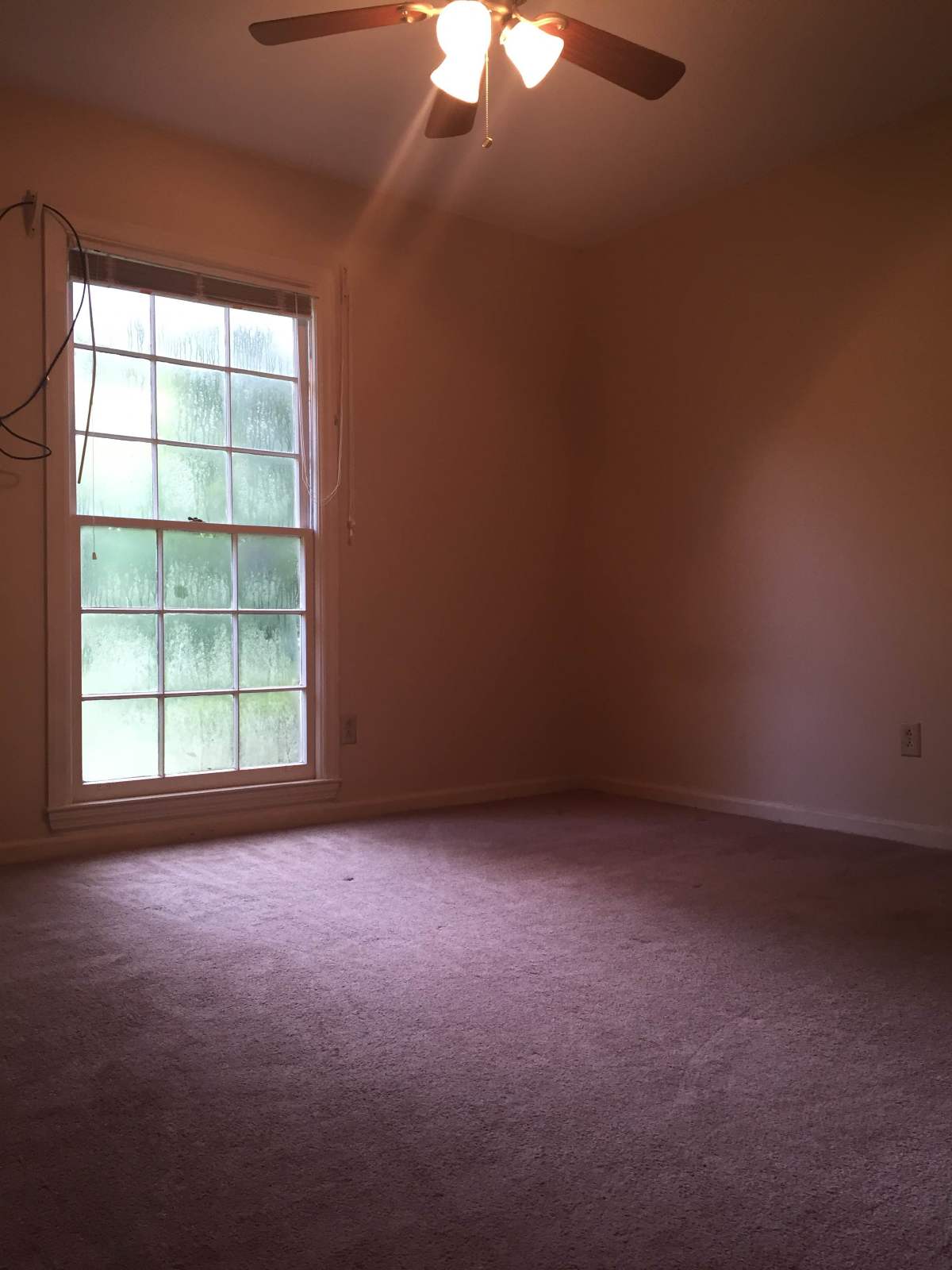 114 Greenbriar Trail property image