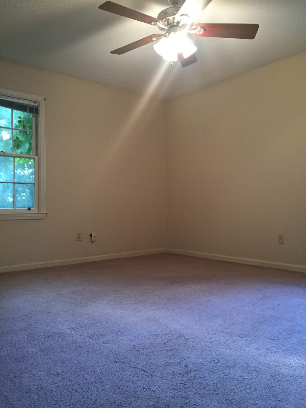 114 Greenbriar Trail property image