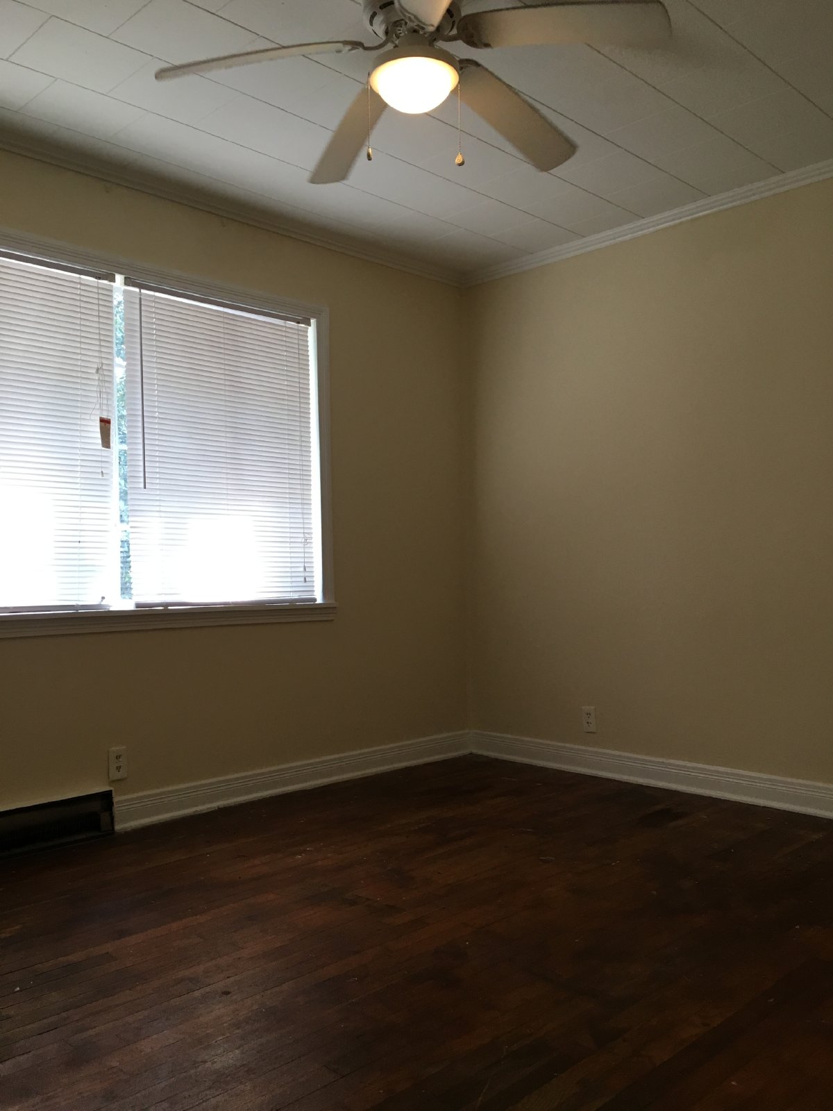 300 Catherine Ave property image