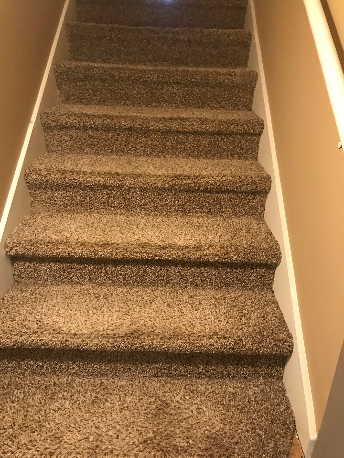 814 King Arthur property image