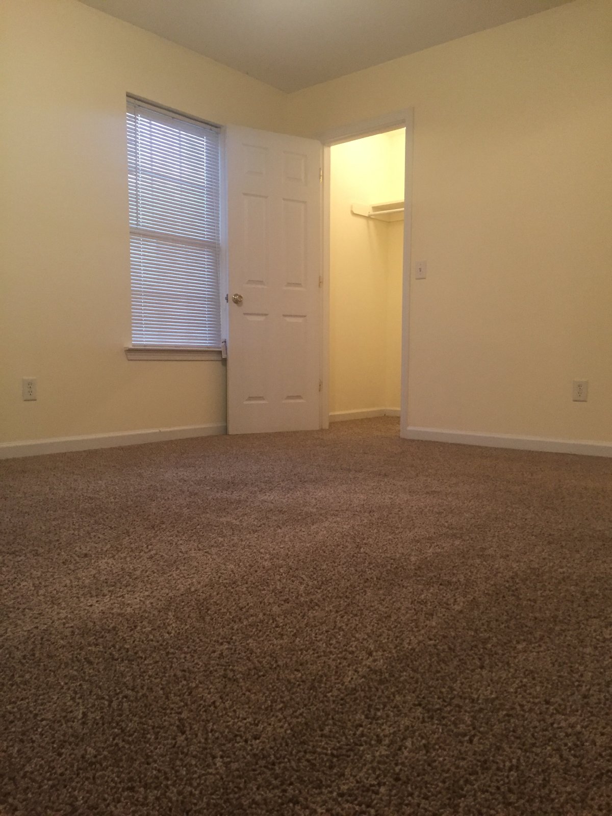 904 Wexford property image