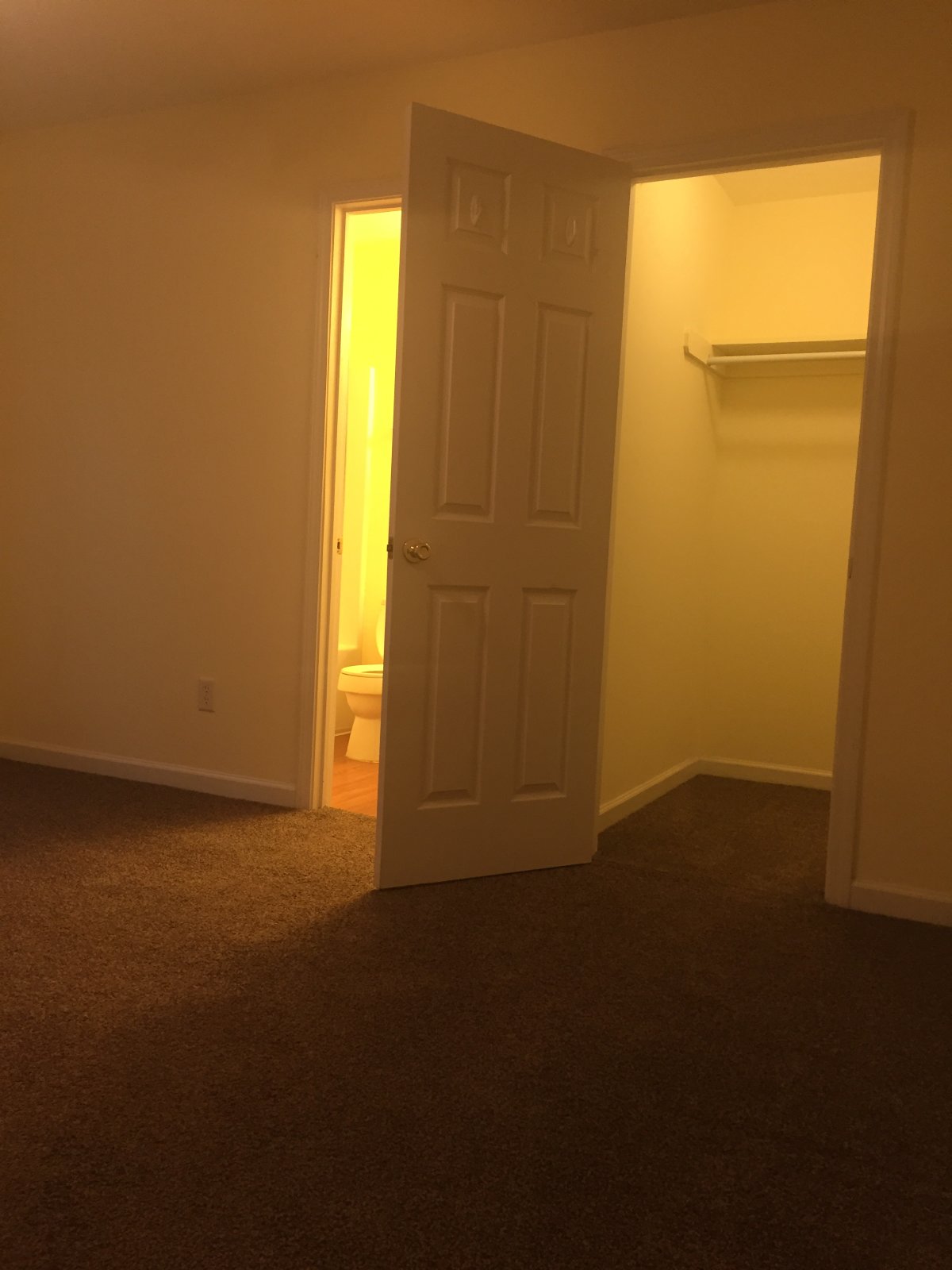 904 Wexford property image