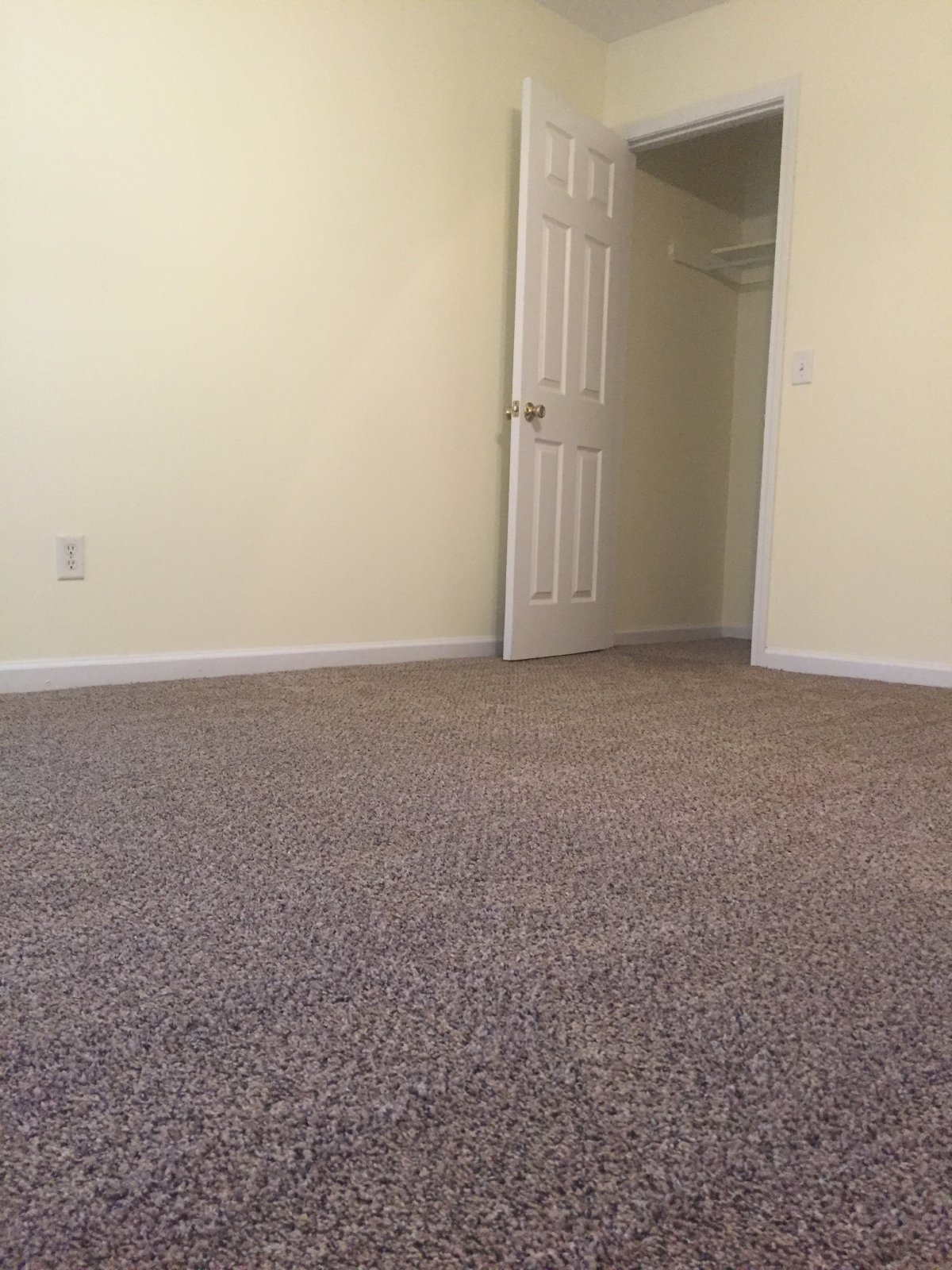 904 Wexford property image