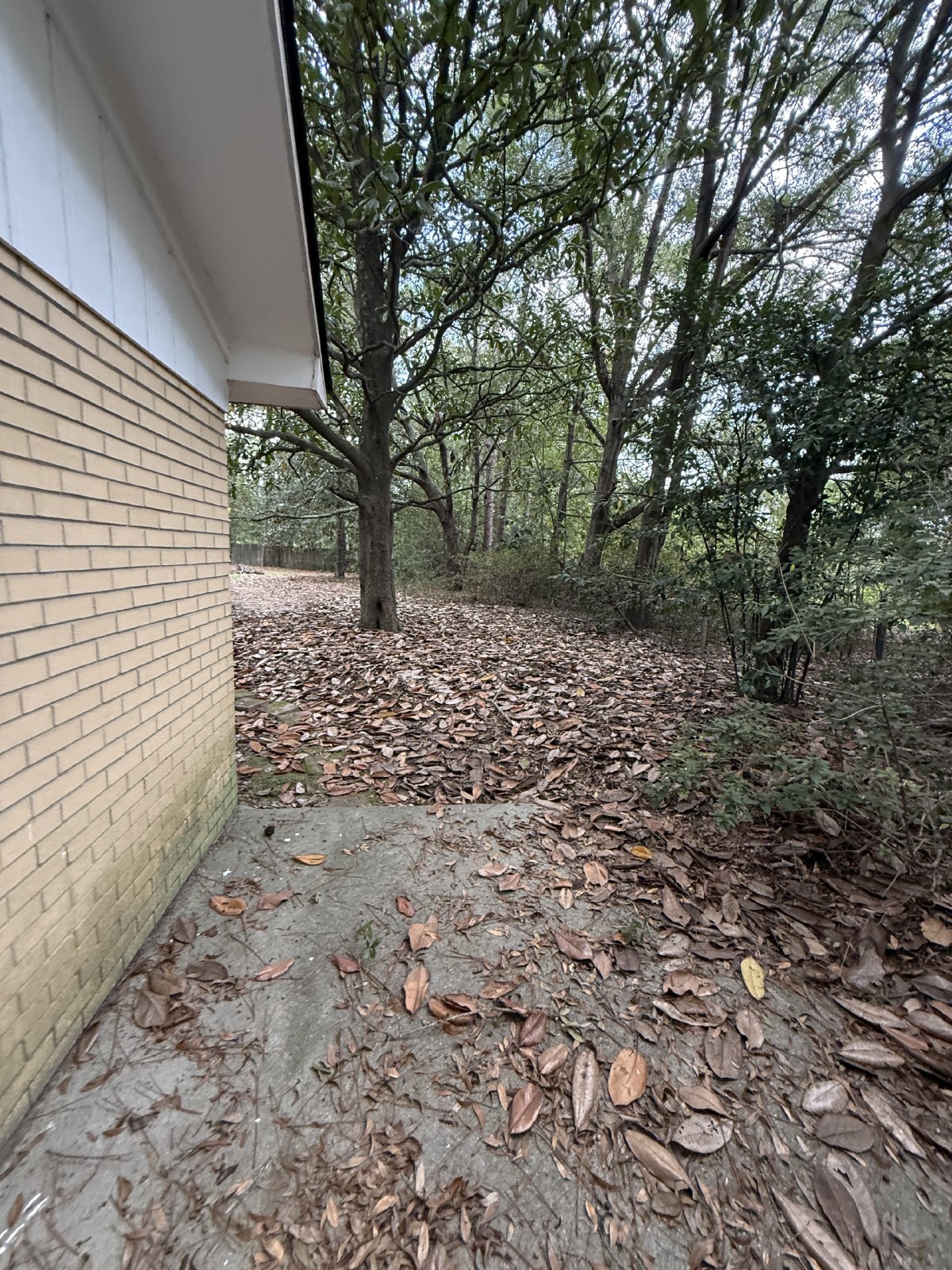 211 Henderson St property image