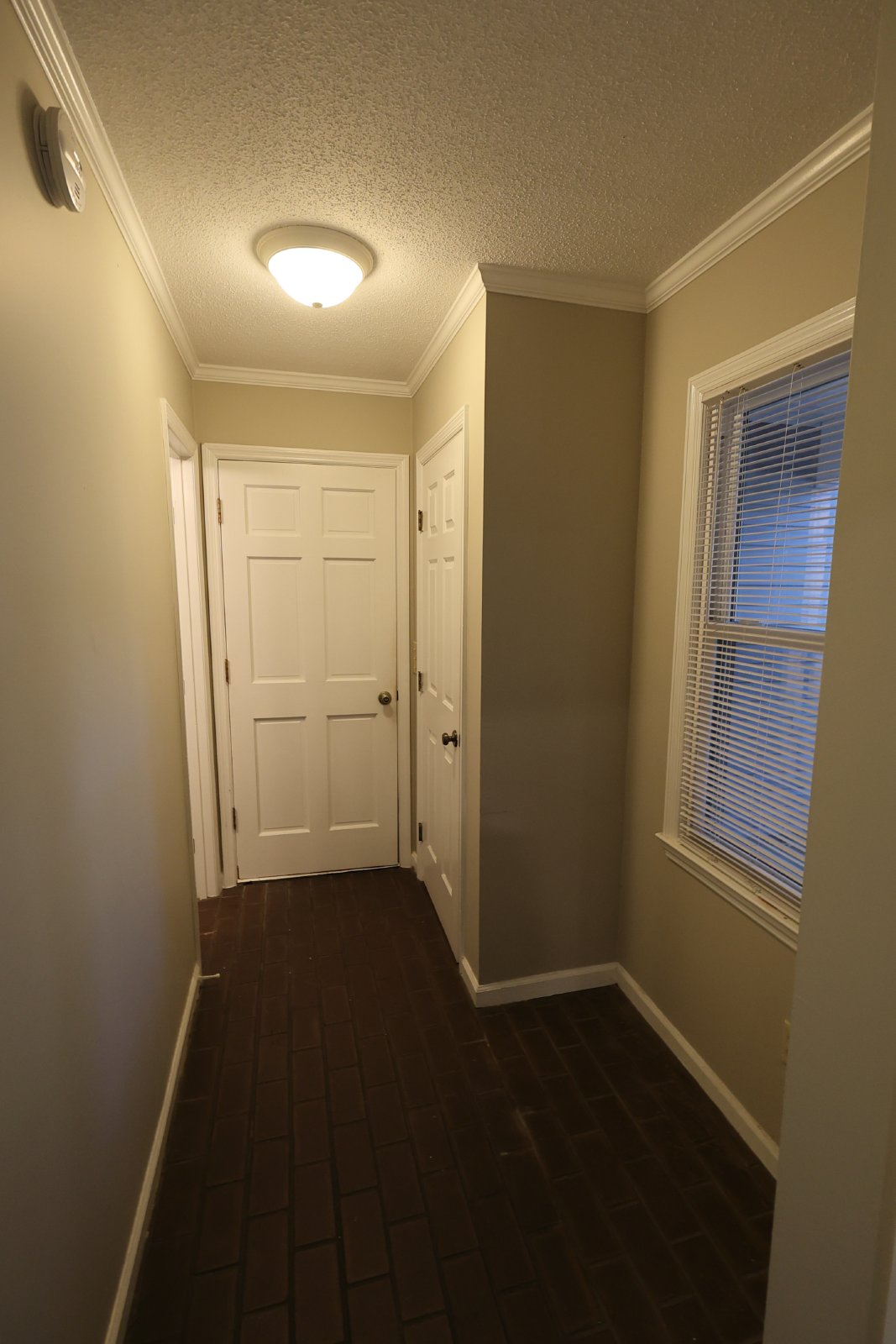 313 Palomino Path property image