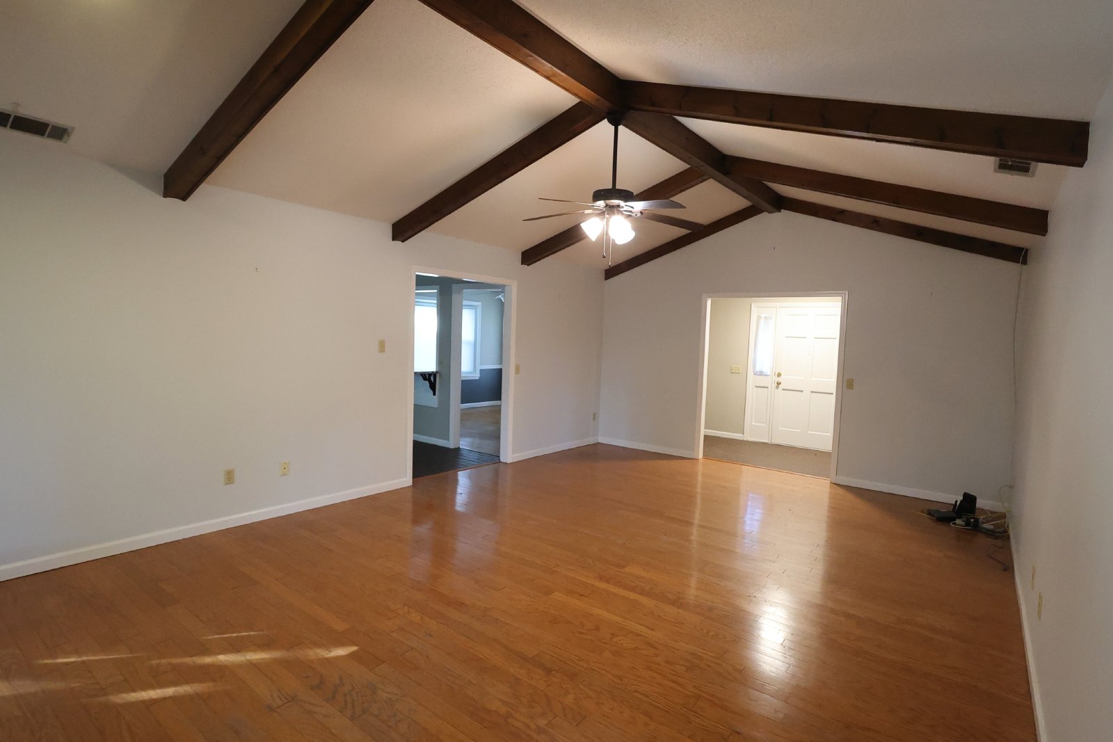 313 Palomino Path property image