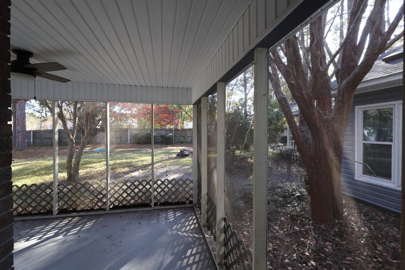 313 Palomino Path property image