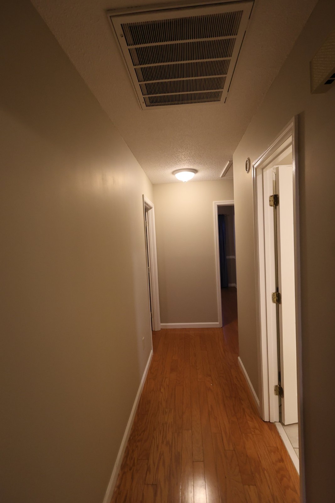 313 Palomino Path property image