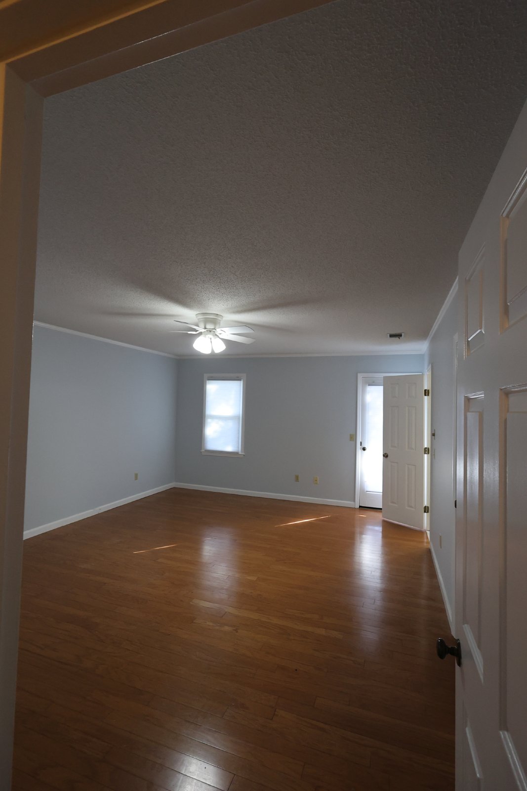 313 Palomino Path property image