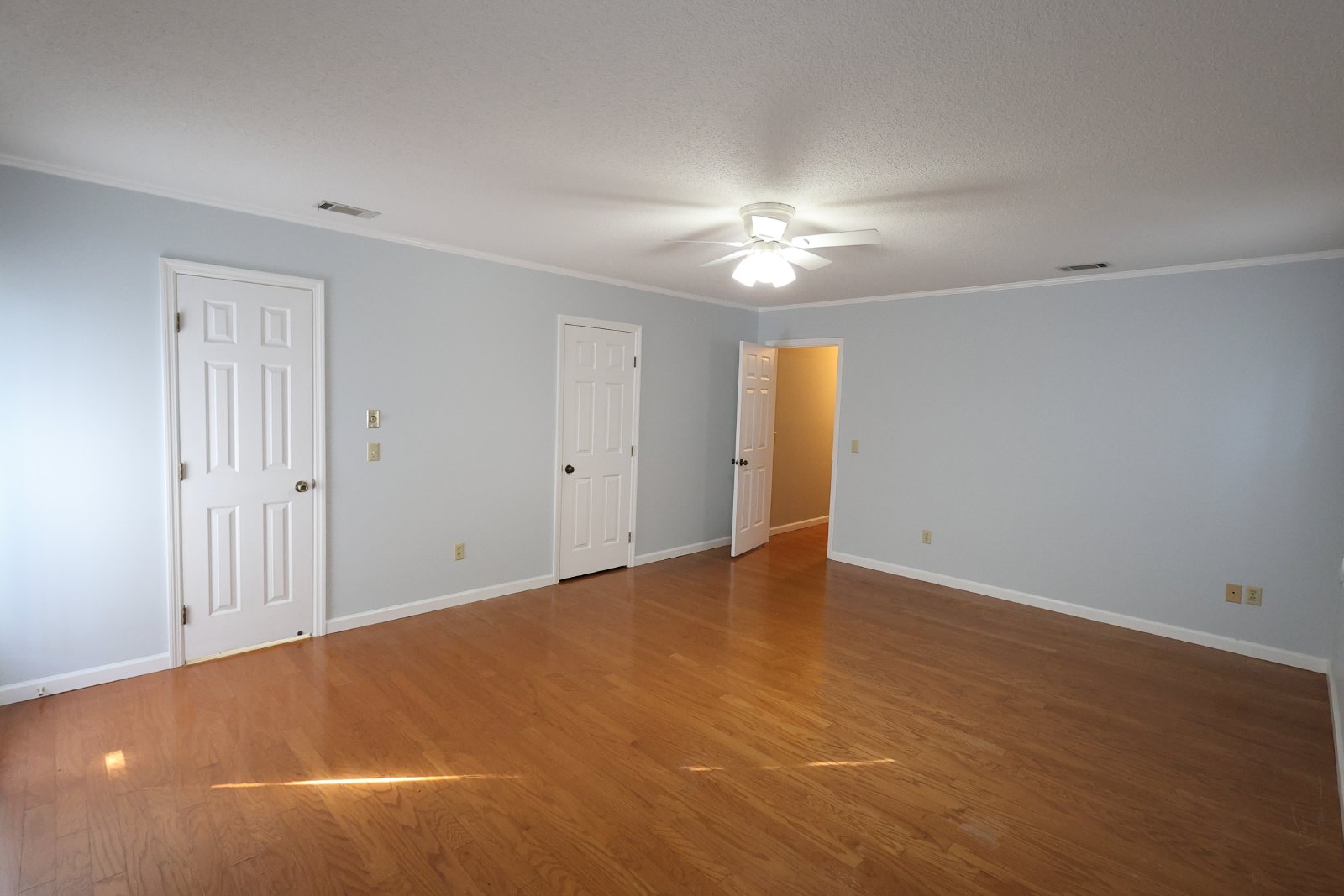 313 Palomino Path property image