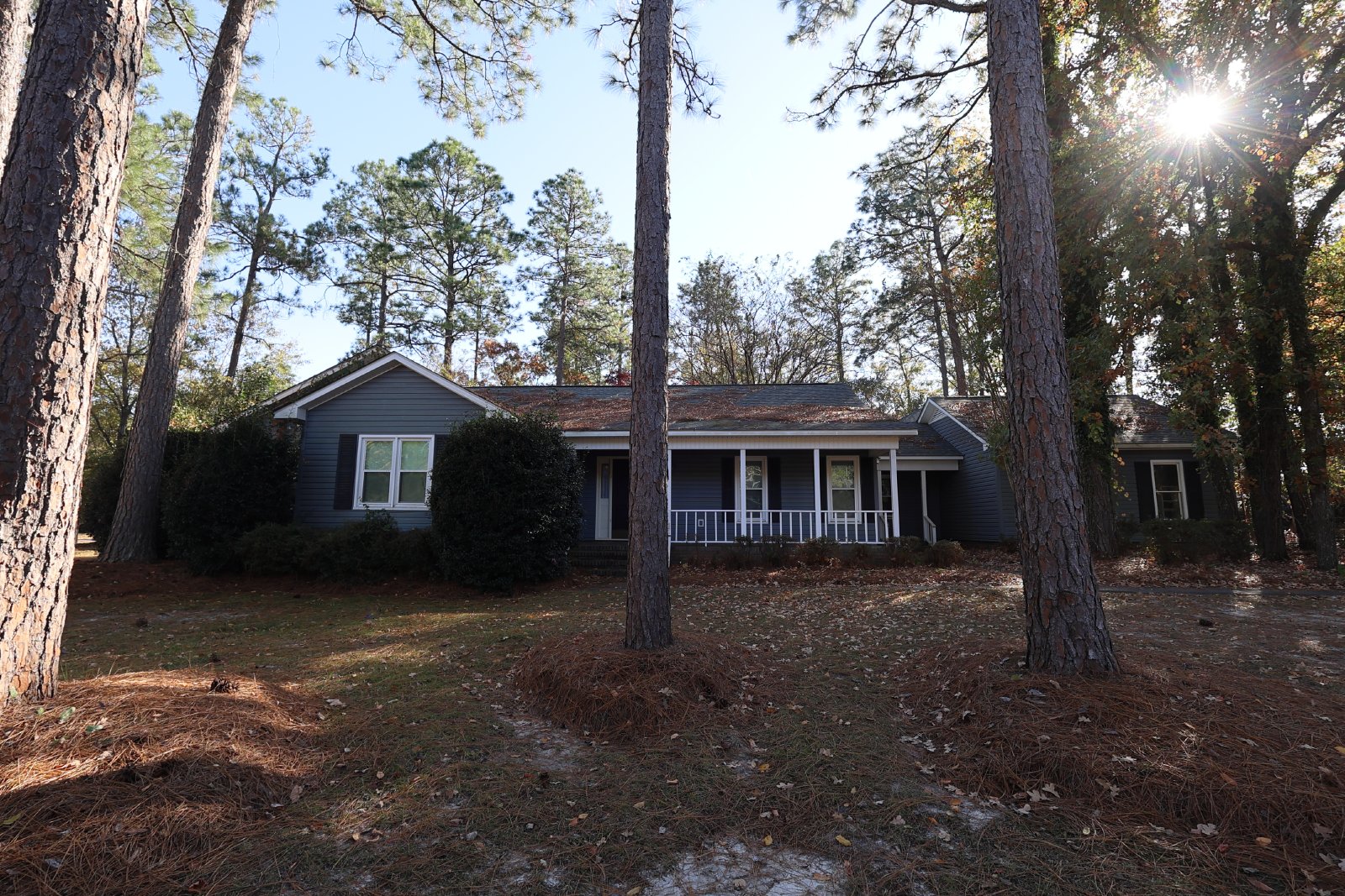 313 Palomino Path property image