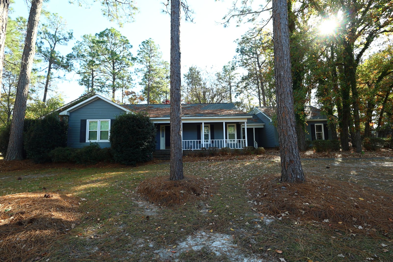 313 Palomino Path property image