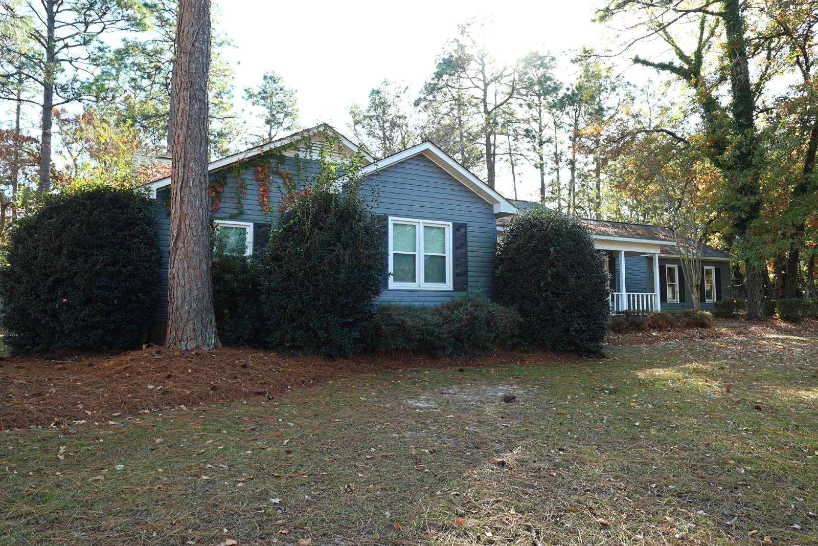 313 Palomino Path property image