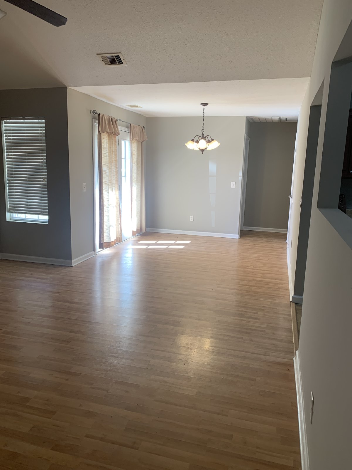 5012 Scotch Pine property image