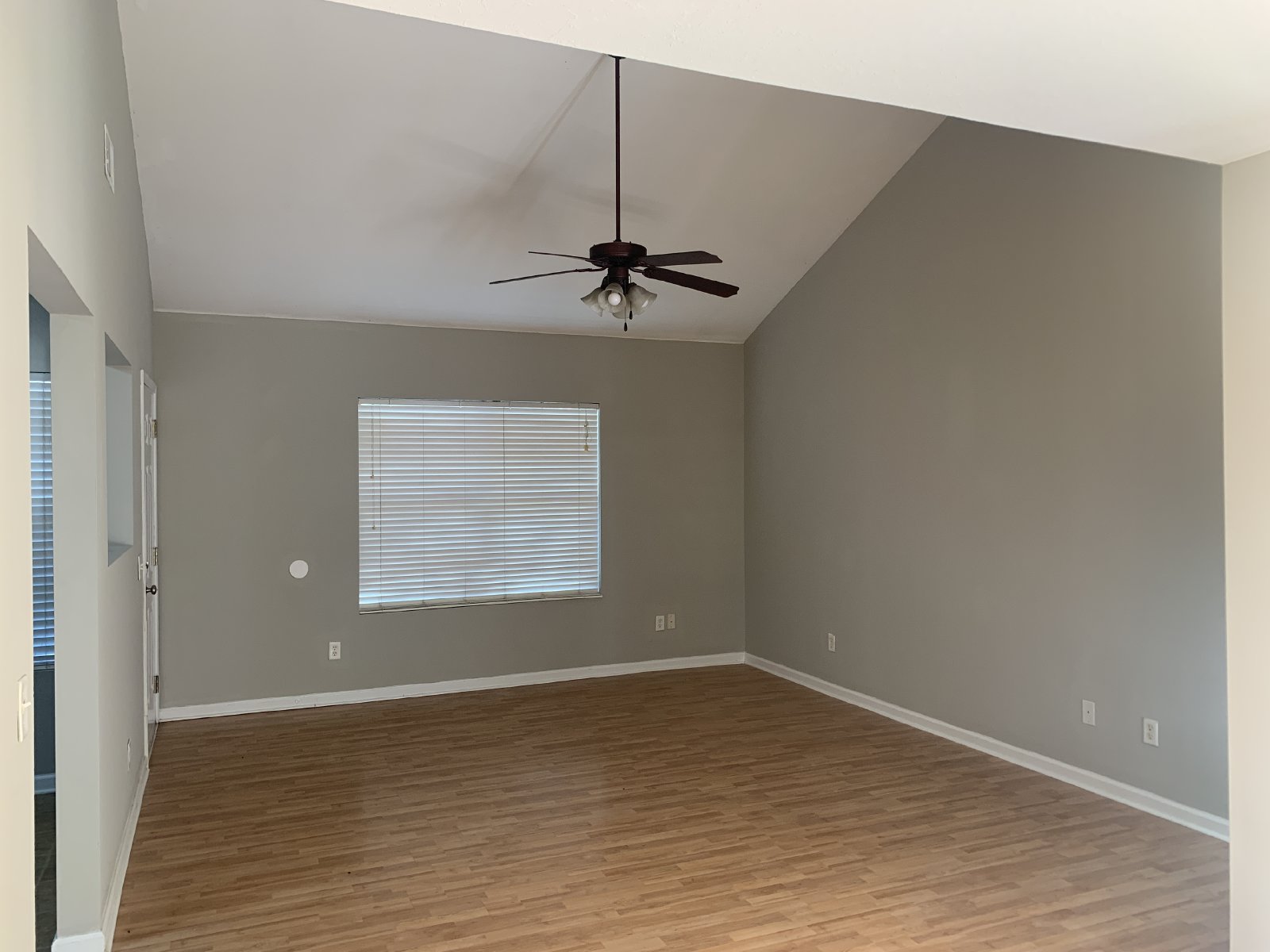 5012 Scotch Pine property image