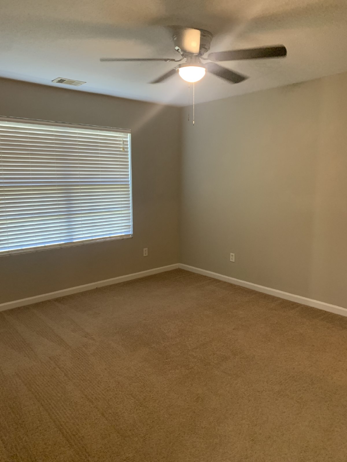 5012 Scotch Pine property image