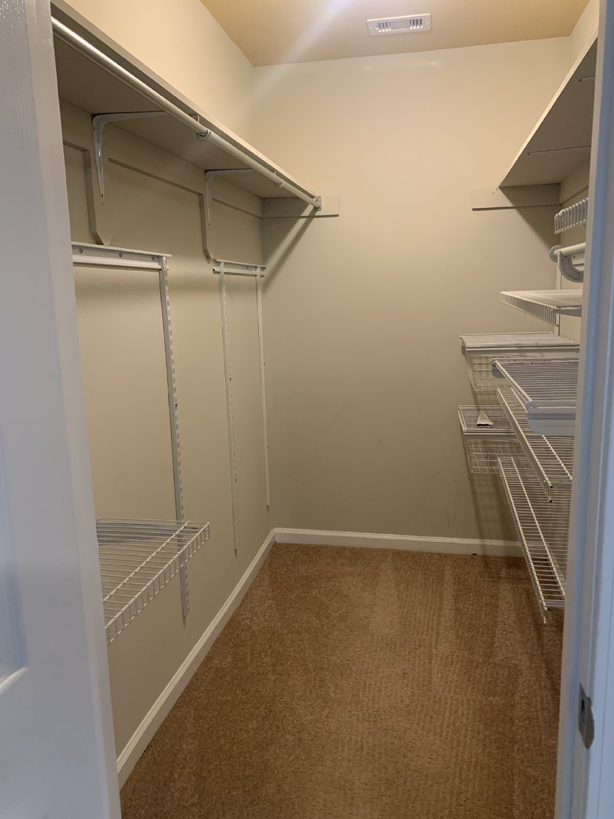 5012 Scotch Pine property image