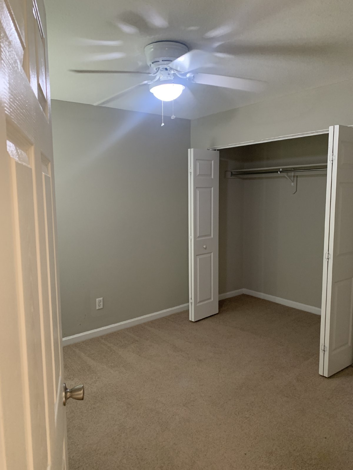 5012 Scotch Pine property image