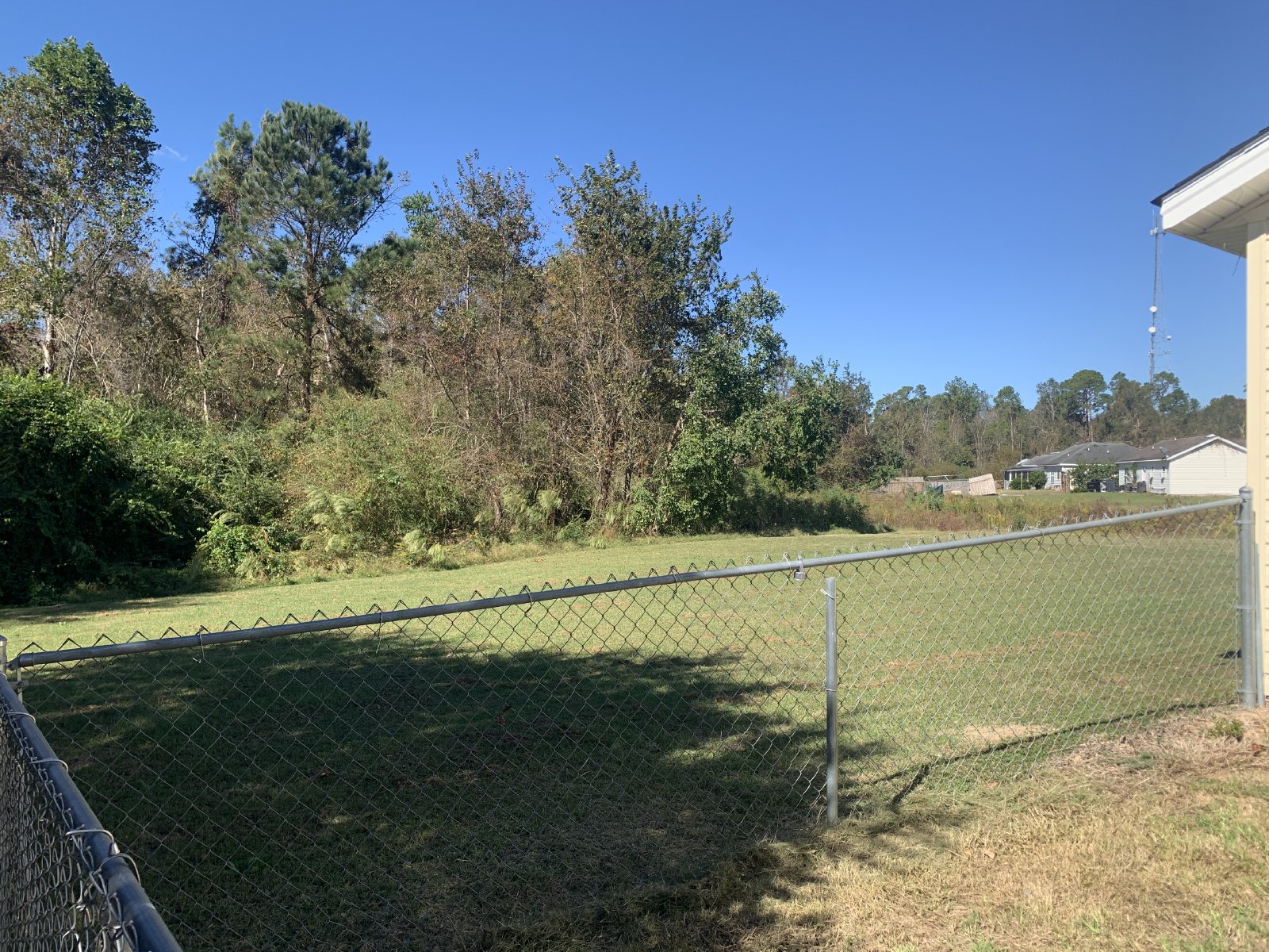 5012 Scotch Pine property image