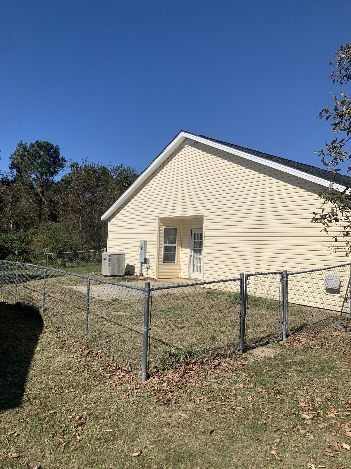 5012 Scotch Pine property image