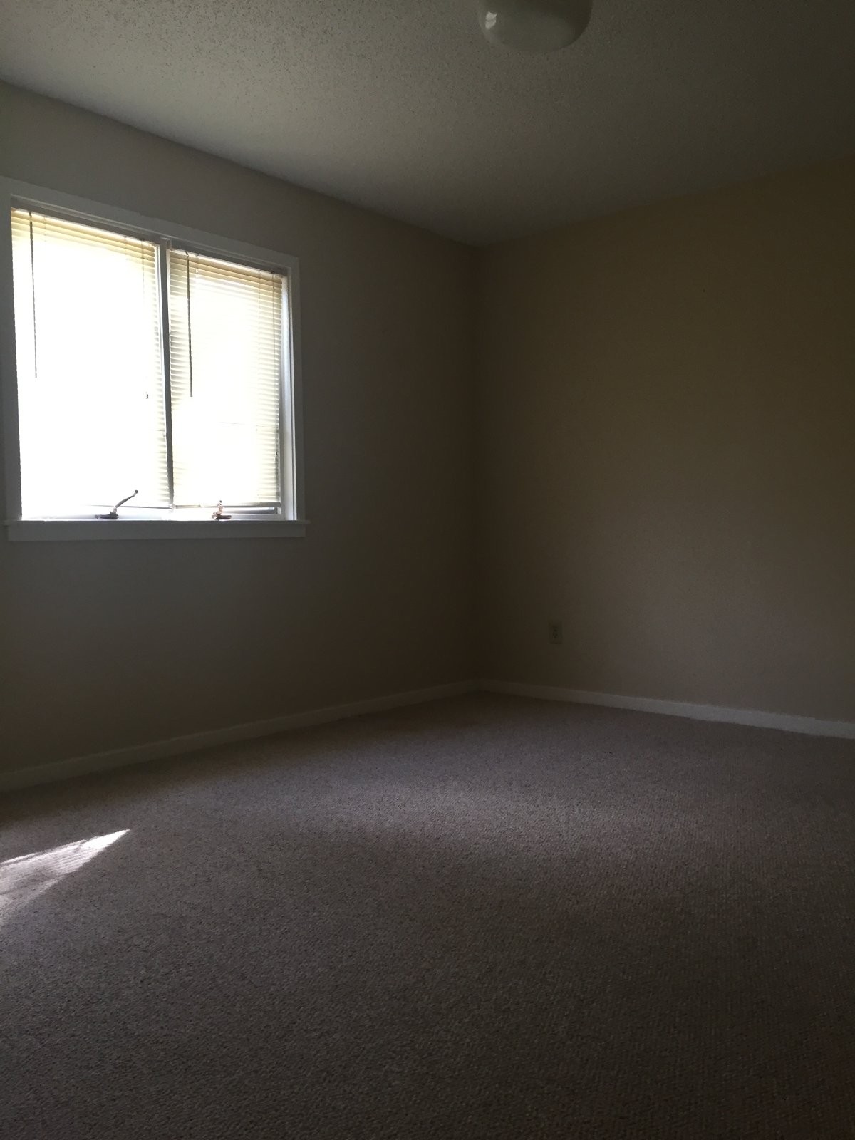 214 Westbrooke Drive property image