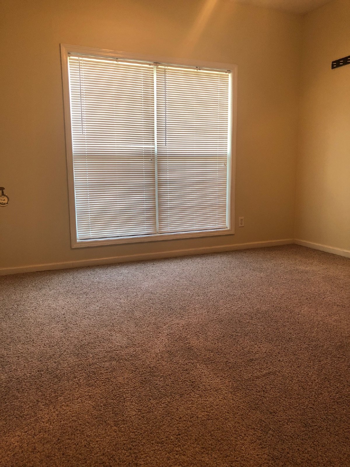 1117A SouthBend Dr property image