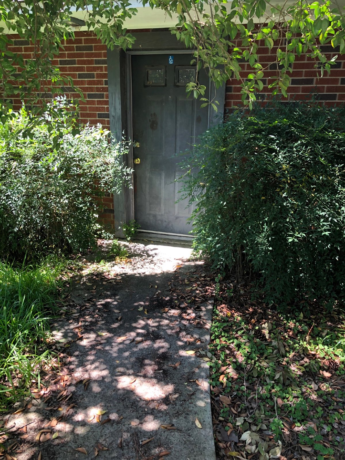 101 1/2 Catherine Ave property image