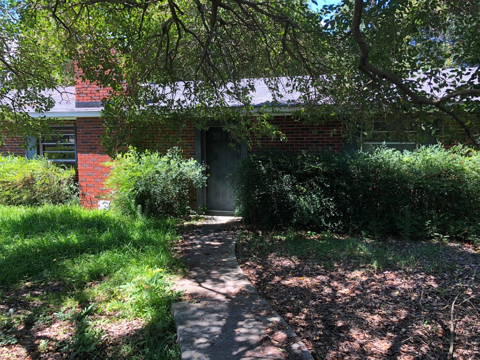 101 1/2 Catherine Ave property image