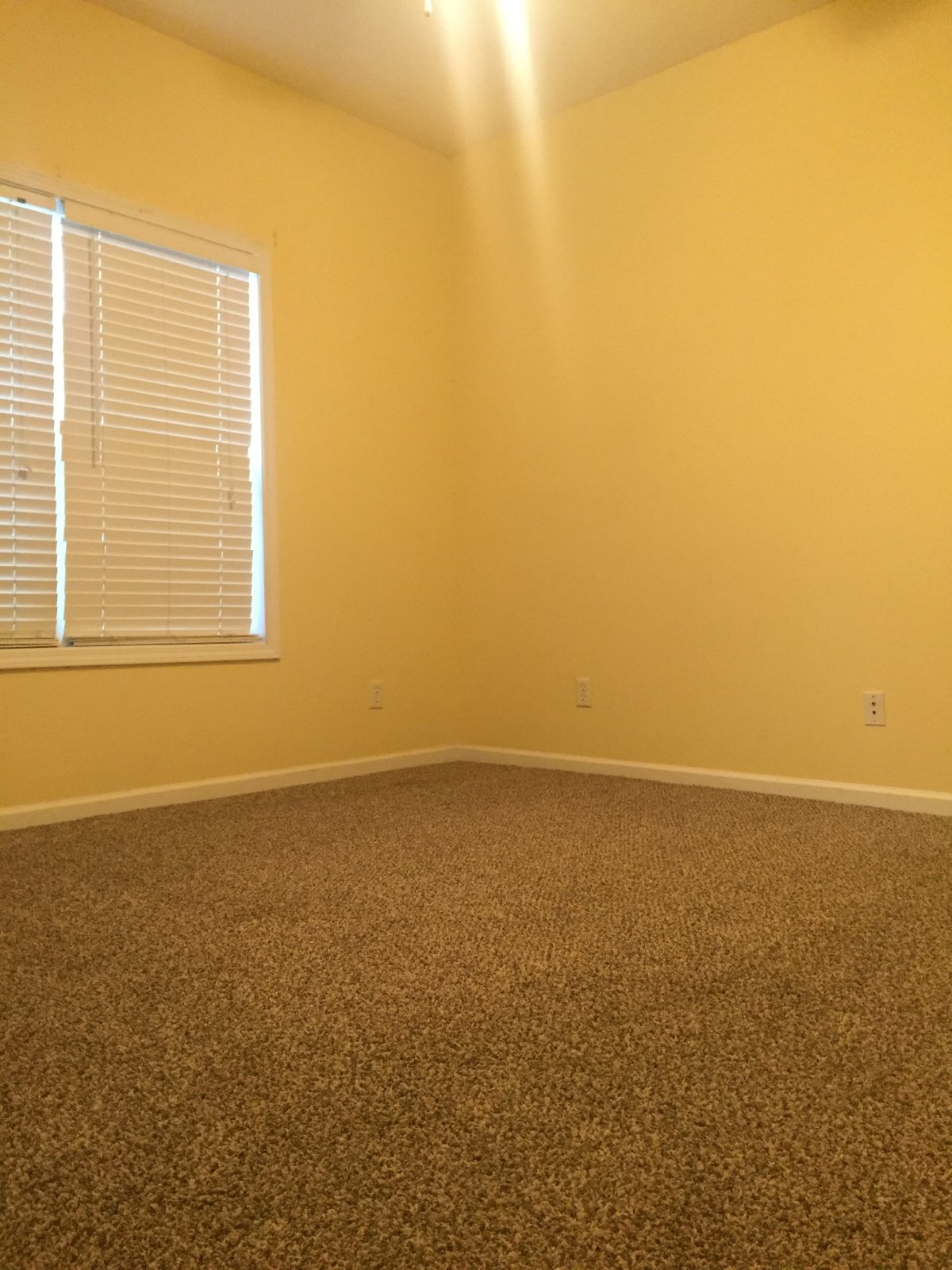 1203B Buckhead Ct property image