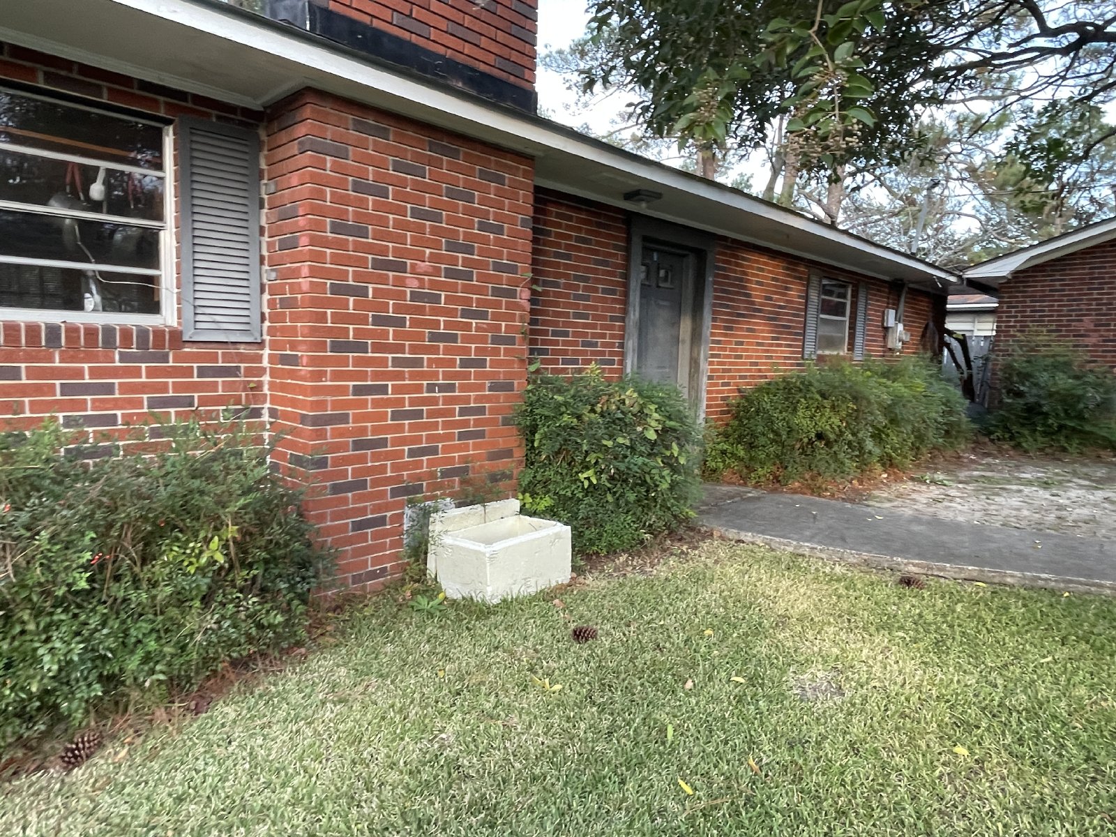 101 1/2 Catherine Ave property image