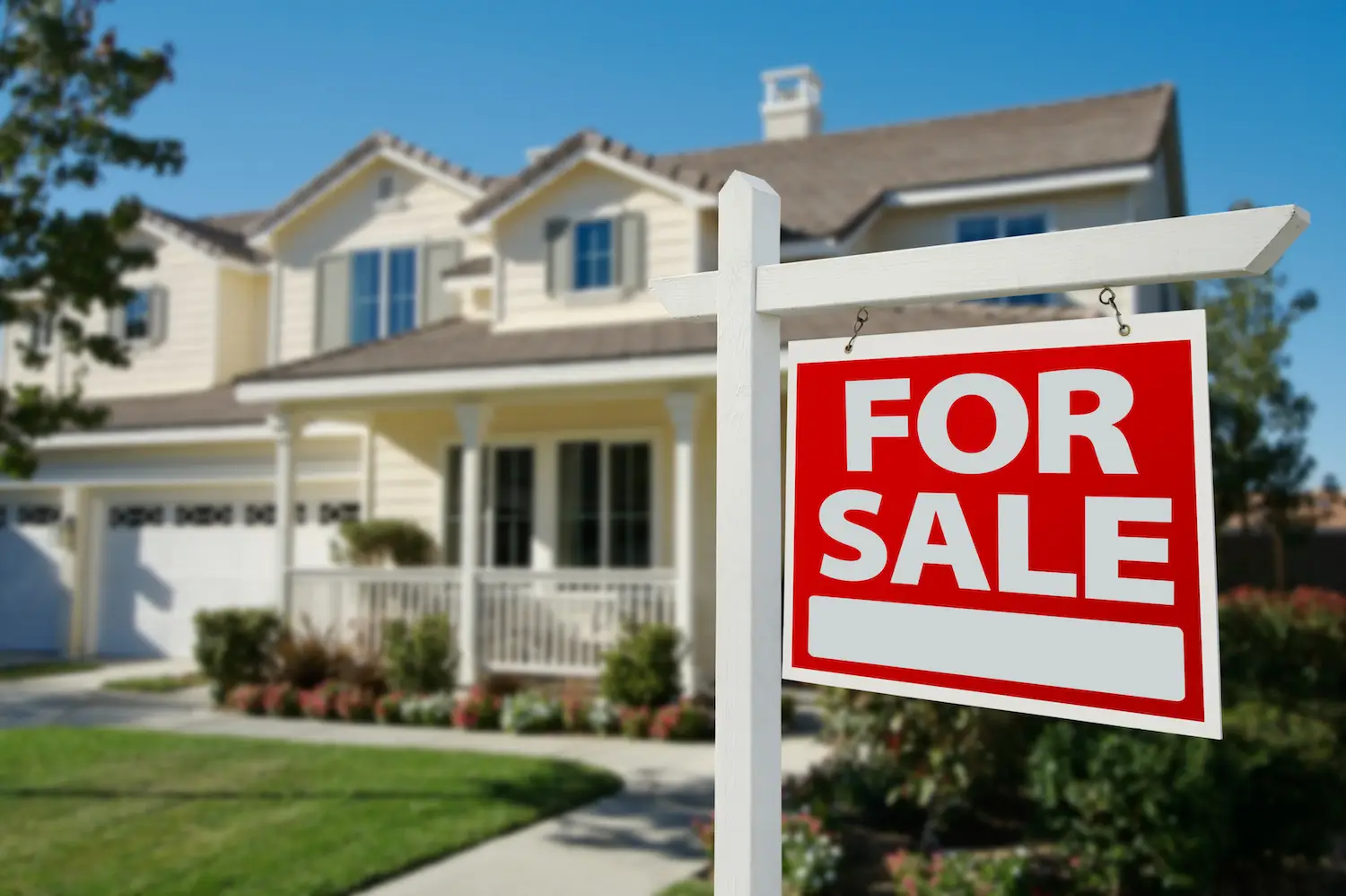 Buyer Tips